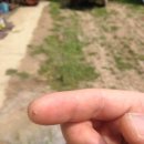 조양농원 이미지