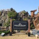 신화의원 이미지