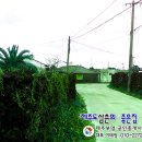 [제주도부동산]제주시 한경면 예술인마을 저지리에 소재한 단독주택부지//매매완료되었습니다. 이미지