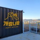 개랑나랑 네이버블로그