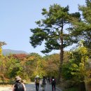 솔뫼가맥 Daum카페