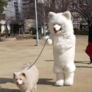 옥이이모 이미지