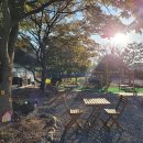 파주눌노리체험캠핑장 이미지