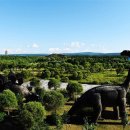 자인민박 이미지