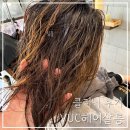 미사 미용실 VUC 헤어살롱 미사 강변점 : 모발 클리닉 후기💈💕