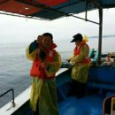 코레일낙산연수원 야영장 이미지