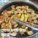 달구벌막창 | 천안돼지막창 쌍용동 달구벌막창 봉명역 삼겹살 방문 후기