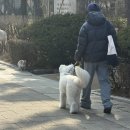 멍묭실 | 청담미용실 압구정 하츠도산 염색 커트 영나부원장님 후기