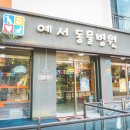 예서 동물병원 이미지