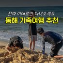 콜그린 - 속초시 중앙시장로 3 | 국내 여름 휴가지 추천 강원도 양양 동해 독채 펜션 가족여행 바다 여행 추천