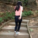 티지온 이미지