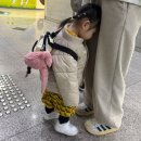 주신메드 | 출산 후 손목통증 손목보호대 닥터메드 솔직 후기(내돈내산)