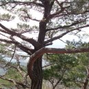 강서물산 이미지