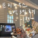 가평 펜션 / 가평 여행 / 트리하우스 T1(트리) / + 바베큐 후기