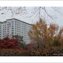 수원시청 이미지