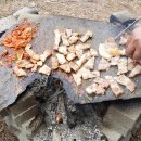 곰치농장 이미지