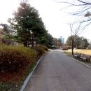 서호꽃뫼 이미지