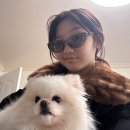 버르장머리미용실 - 부산진구 가야대로 560 | 버르장머리미용실