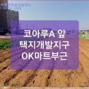모전부동산공인중개사사무소 이미지