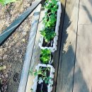 신원로1 이미지