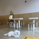 모산로139번길 이미지