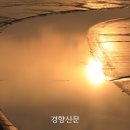 순천만 습지 이미지