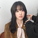 비컷 이미지
