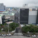 동광제약 이미지