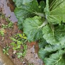 덕분농장 이미지