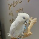 크레이쥬 이미지