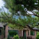 스테이율 이미지