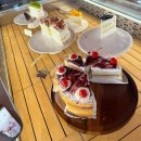 유명산목장 | 두돌아기와 주말나들이 가평 양떼목장 수국축제 (+유명산도토리마을)