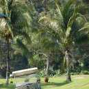 나인오션 이미지