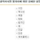 뉴욕시간