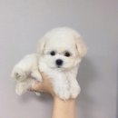 은총한의원 네이버블로그