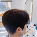 편백두피하우스