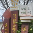 닥밭골 벽화마을 | 부산 서구 숨겨진 벚꽃명소 닥밭골벽화마을 방문후기