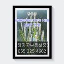 장유동김해율하원메이저자이 전세 25Py 13000만