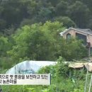 아담빌라 이미지