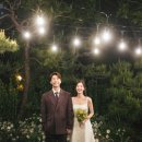 별 정원 이미지