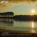 태안바다 이미지