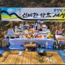3월 12일 목요일 인사 나눠요 이미지