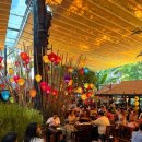 버스정류소(오류지구대정류장)(1) | 25년 추석 하노이-사파 여행: 하노이 미슐랭 쌀국수맛집 꽌안응온, 하노이에서 슬리핑버스 타고 사파로