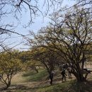 사나사(중간,약수터 앞) | 이천 정개산+수리산+원덕산