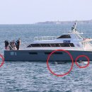 제주 돌고래 이미지