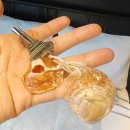 갈남항 방파제 화장실 | 강원 삼척 숨겨진 스노클링 스팟 삼척 갈남항! 오션뷰 숙소 'JM 하우스' (+삼척중앙시장 횟집)