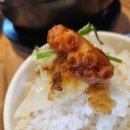 닭돌이와닭순이 티스토리