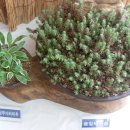 동의중학교 이미지