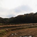 각평농장 이미지