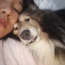 천연제품 이미지